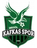 Logo İnegöl Kafkas Gençlik