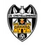 Logo Castellonense