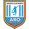 Logo ARO Muscelul Câmpulung