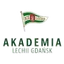 Logo Akademia Piłkarska LG W