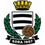 Logo Sora