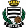 Logo Sora