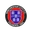 Logo Winchester City Flyers