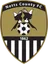 Logo Notts County W