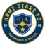 Logo Home Stars