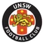 Logo UNSW