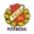 Logo Falu BS