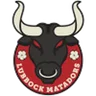 Logo Lubbock Matadors