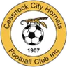 Logo Cessnock City Hornets
