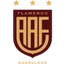 Logo Flamengo SP