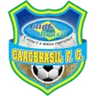 Logo CAAC Brasil