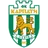 Logo Karpaty Lviv U19