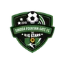 Logo Singida Black Stars