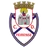Logo Feirense U19