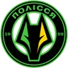 Logo Polissya II