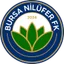 Logo Nilüfer Belediye