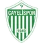 Logo Çayelispor