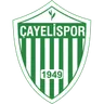 Logo Çayelispor