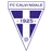 Logo Calvi Noale