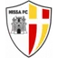 Logo Nissa