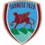 Logo Sarnese