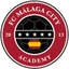 Logo Malaga City