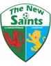 Logo The New Saints U19