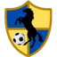 Logo Racing United