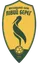 Logo Livyi Bereh U19