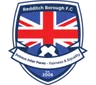 Logo Redditch Borough W