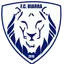 Logo Diarra
