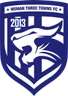 Logo Wuhan Three Towns II
