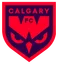 Logo Calgary Wild W