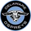 Logo Delaware FC