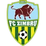 Logo Zimbru II