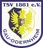 Logo Gau-Odernheim