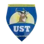 Logo US Tchologo