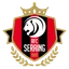 Logo RFC Seraing Reserve U21