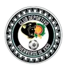 Logo Guerreros