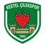 Logo Kestel Çilek