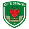 Logo Kestel Çilek