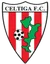 Logo Celtiga