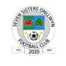 Logo Seven Sisters Onllwyn