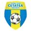 Logo Cetatea Suceava