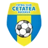 Logo Cetatea Suceava