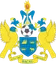 Logo FC Bacău II