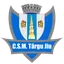 Logo CSM Targu Jiu