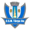 Logo CSM Targu Jiu