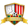 Logo VC Warriors