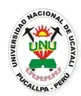 Logo Atlético Nacional de Pucallpa